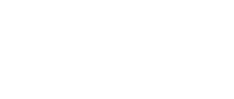 国际护照 巴拉圭护照 - 海龟VPN